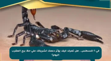 في 1 أغسطس.. هل تعرف كيف يؤثر دعمك لشريكك على حظ برج العقرب اليوم؟